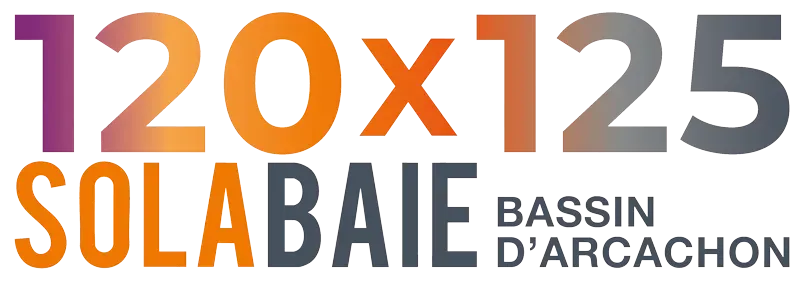 logo-120x125